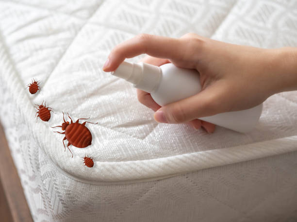 Hooker, OK Pest Control Company